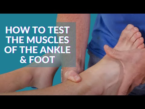 Testing the Muscles of the Ankle & Foot by John Gibbons