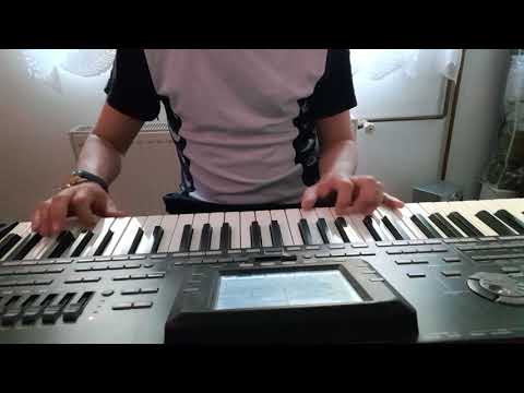 Snezana Djurisic - Odakle si sele ( bas i kontra)