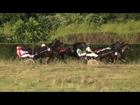 Požarevac-07.07.2023, Parma Ferm & B. Nović