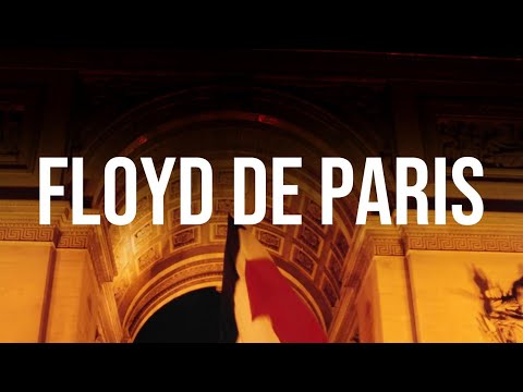 Meduza, Ferreck Dawn, Jack Back, Regard, David Guetta, Gorgon City, Duke Dumont - #YP013