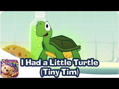I Had a Little Turtle