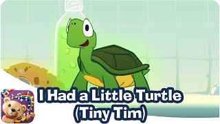 I Had a Little Turtle
