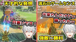 ゼルダで発想が天才のそれであることを見せる葛葉【葛葉/ゼルダの伝説ブレス オブ ザ ワイルド/切り抜き】