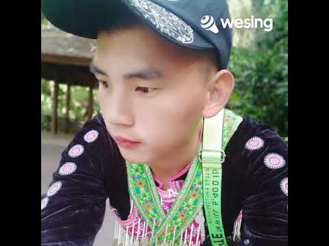 tsob ntoo lub pas dej