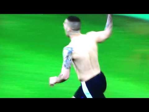 Fan falls down in Goal Celebration by Mitrovic Newcastle vs Sunderland