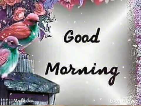 Shanupareta'birthday party