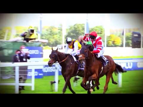 British Champions Series: The Long Distance Category