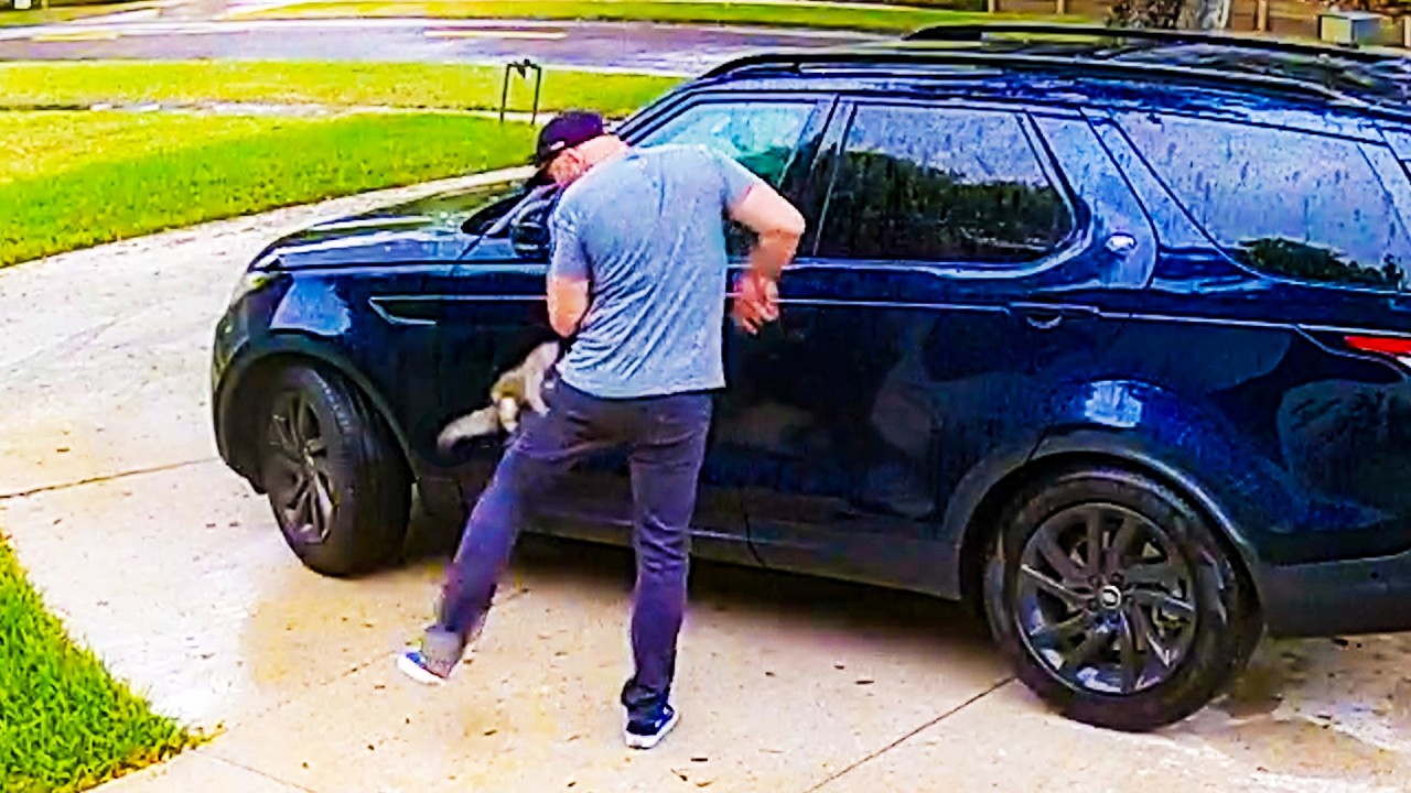 Animals Do the MOST Unexpected Things 🤣 | Caught In 4k