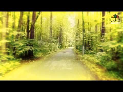 SIGITA - Tu (m. ir ž. L. Vilkončius)