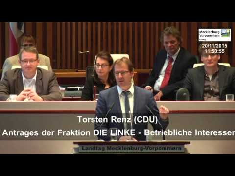 20.11.2015, Torsten Renz, CDU-Fraktion, Landtag M-V, Debatte Betriebliche Mitbestimmung