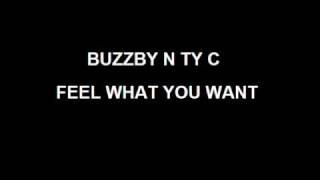 Buzzby n Ty C Feel What You Want