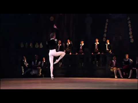 DON QUIXOTE - Basilio Variation (Leonid Sarafanov - Mariinsky Ballet)