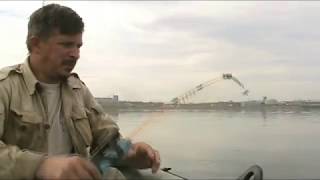 Камские поляны ловля леща на кольцо