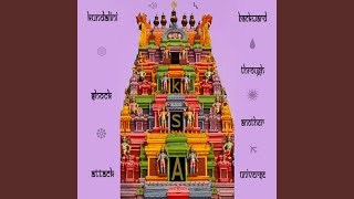 Backward Through Another Universe