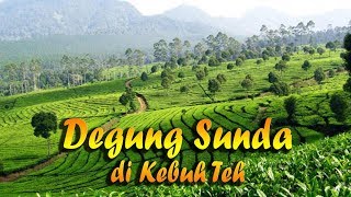 Download lagu Suling Degung Sunda Merdu di Kebun Teh... mp3