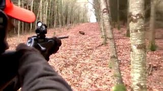 Best of wild boar hunting  Top kill shots compilat
