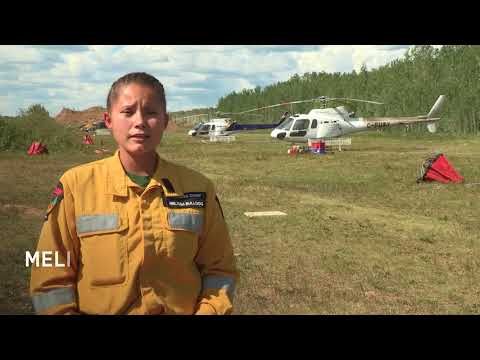 NAIT Forest Technology: Career Options