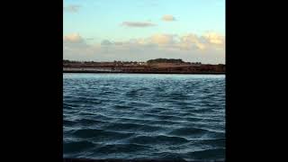 Coxone - Years Gone By