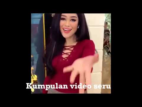 poppy capella tatitut live