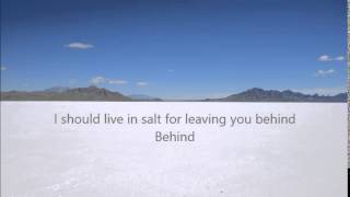 I Should Live In Salt - The National LYRICS
