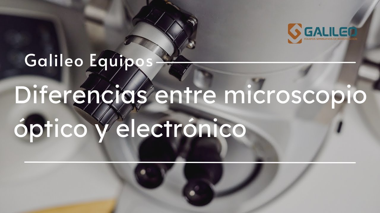 Diferencia De Un Microscopio Optico Y Electronico www.valetry.com