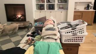 Video preview image #1 Shih Tzu Puppy For Sale in Arlington, VA, USA