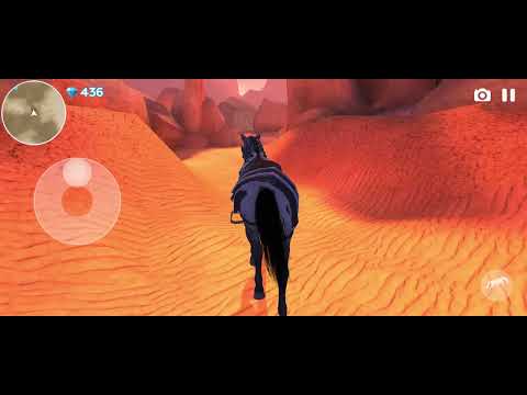 Wild Horse Spirit Adventure