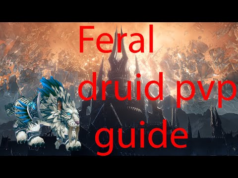 UPDATED Feral druid pvp guide 9.0.5/9.1 {Necrolord, Night fae, Bastion}