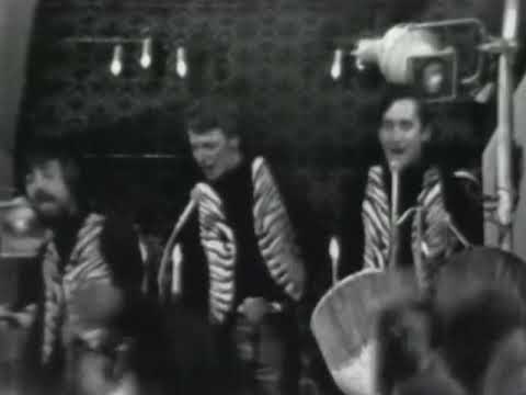 The Strangeloves - I Want Candy (1965)