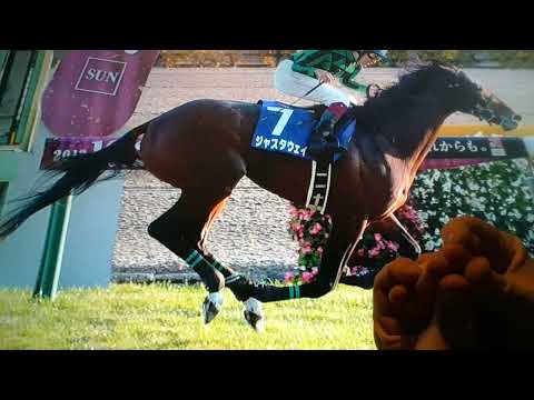 Horacio the handsnake - Just A Way (racehorse)