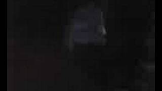 Black Liner Run- SWR