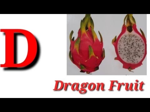 A to Z fruit names/Alphabets/easy learning for kids/ angel yaksha