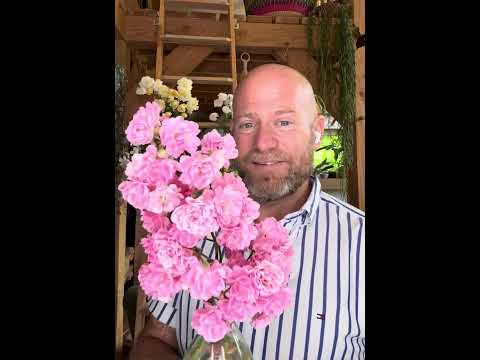 A brand-new best of collection, lovely called ‘ the fairytale collection’ #gardenerben