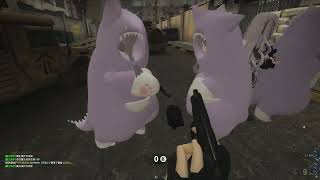 ただただInsurgencyをプレイ(実況無し) part12