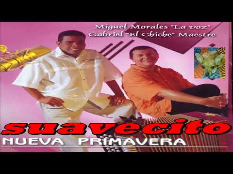 SUAVECITO MIGUEL MORALES