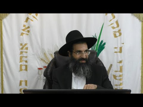 יכול להציל את הדור כולו | הרב שי עובד | שני - פרשת נח - תשפב