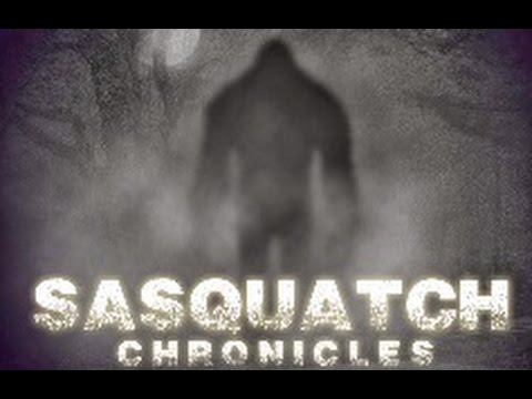 SC EP:234 I thought I was going to die