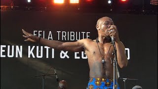 Seun Kuti & Egypt 80, Struggle Sounds, Summerstage, NYC 7-16-17