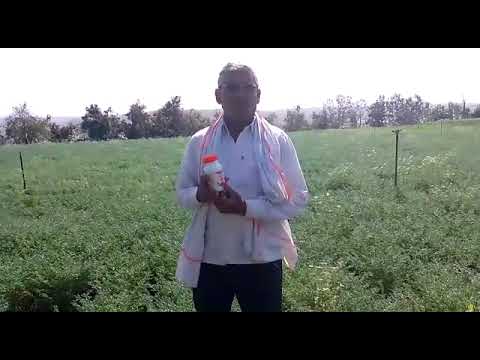 Zara - For Better Flowering in All Crops. www.pranilagri.com