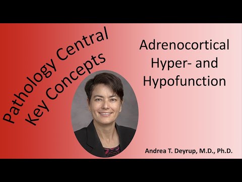 Medical School Pathology: Pathophysiology of Adrenocortical Hyper- and Hypofunction