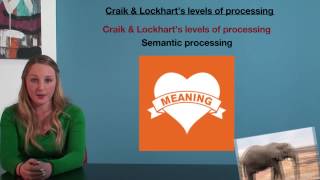 VCE Psychology - Craik and Lockhart's Levels of Processing