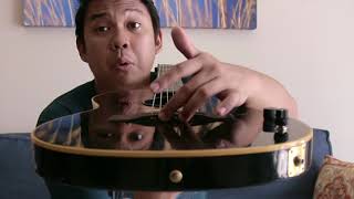 Video thumbnail for A guitar I never knew I needed : 1988 Gibson Chet Atkins SST by TheMightySunfish
