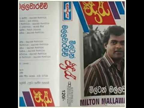 yale ayale(original)/milton mallawarachchi(sing)/clarence wijewardana(lyrics and music)