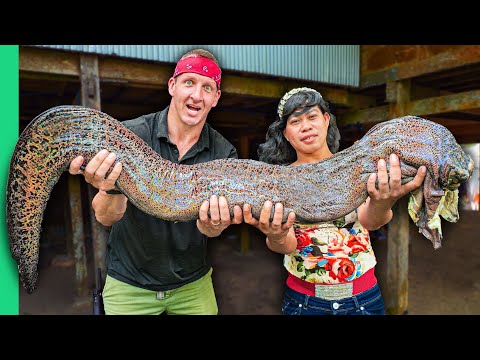Giant Slimy Eel!! Insane Indonesian Food of the Bugis Tribe!!