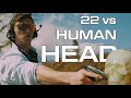 22 vs Human Head