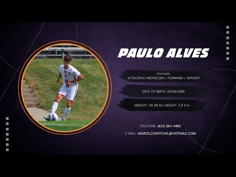 Paulo Alves | Highlights