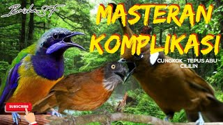Download lagu MASTERAN KOMPLIKASI FULL TEMBAKAN || CILILIN-TEPUS ABU-CUNGKOK #masteranmuraibatu #masterkicauan mp3 Download lagu MASTERAN KOMPLIKASI FULL TEMBAKAN || CILILIN-TEPUS ABU-CUNGKOK #masteranmuraibatu #masterkicauan mp3
