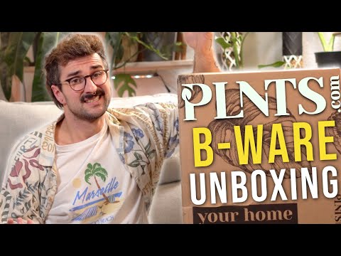 Das soll B-Ware sein!? 8 Pflanzen für 35€!😱 PLNTS.com B-Ware Unboxing!