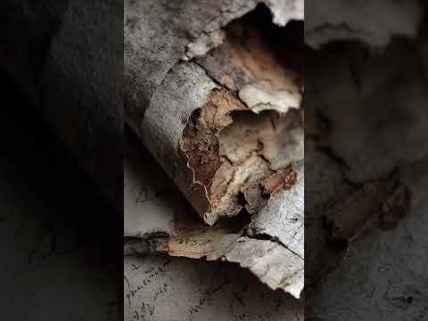 A Cidade Brasileira que Desapareceu Sem Explicação #curiosidades #minasgerais