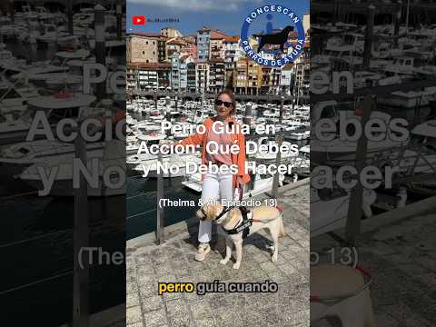 Perro Guía en Acción: Qué Debes y No Debes Hacer (Thelma & Ali Episodio 13)